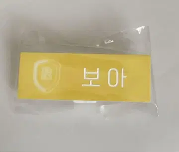 SMTOWN LIVE 2025 네임 배지 A ver. 보아