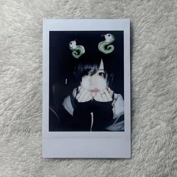 세이브포인트 유키 폴라로이드