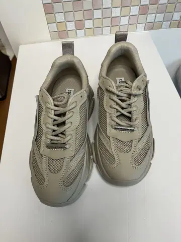 STEVE MADDEN 베이지 스니커즈