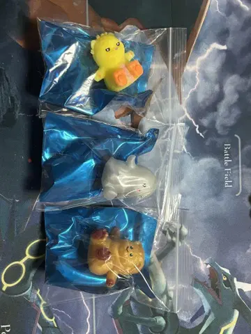 찰리, 닉, 캐럴 3세트 모찌리 프렌즈 바다의 동료