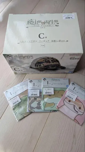 제일복권 파충류 & 양서류 vol.2 C상 헤르만 육지거북 덤 포함