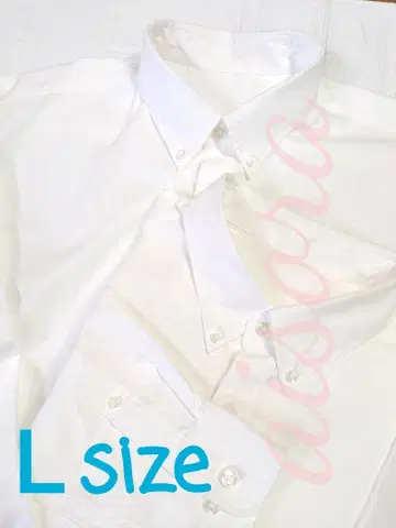 L 버튼 다운 와이셔츠 훼미리마트 훼미리마트 긴팔 면 이토추