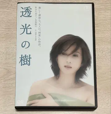 투광의 나무 ('04 시네카논)