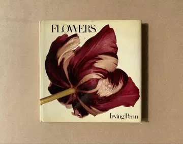 Irving Penn Flowers