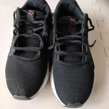 PUMA 스니커즈 아델라 코어 370544-01 25cm