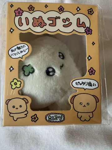 강아지 고시무 최강 고시무