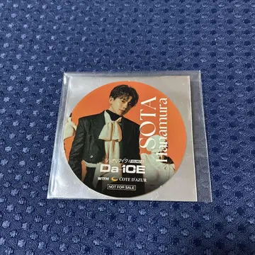 변신 마이크 스티커 Da-iCE 하나무라 소타