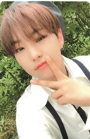 SEVENTEEN An Ode HOSHI 트레이딩 카드 녹색