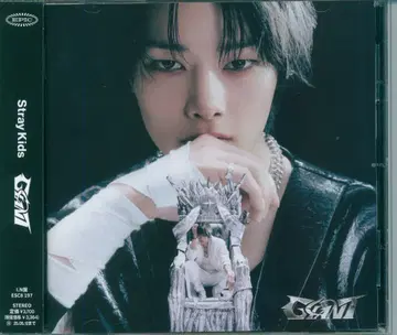 StrayKids FC 한정반 I.N GIANT