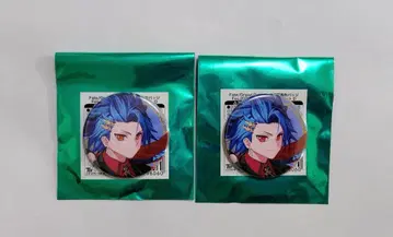 Fate FGO 페스티벌 2025 영기소환 캔뱃지 세탄타 2개 세트