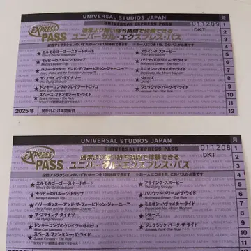 유니버설 익스프레스 패스 2025년용 2매