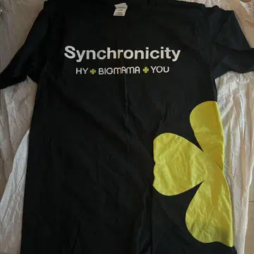 HY BIGMAMA Synchronicity Tour T셔츠 S사이즈