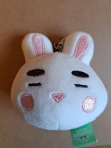 SHINee 온유 토끼 봉제 인형 키링