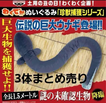 와쿠데카 뱀장어 봉제 인형 희귀동물 포획 시리즈