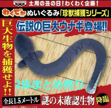 와쿠데카 뱀장어 봉제 인형 희귀동물 포획 시리즈