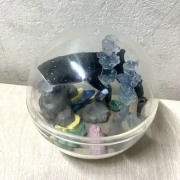 츄라우미 수족관 카프리움 컬렉션 징베상어