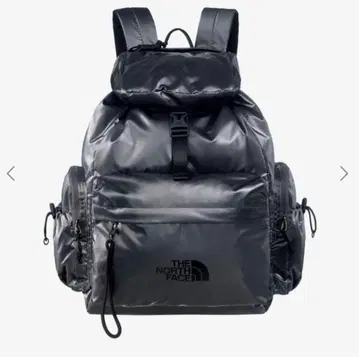 THE NORTH FACE 실버 백팩