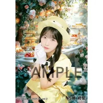 AKB48 사토 아카리 개별 브로마이드 2025. 06