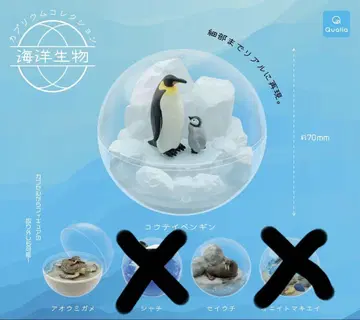 카프리움 컬렉션 묶음 판매장