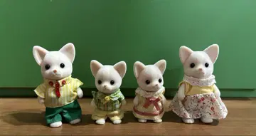 실바니안 패밀리 치와와