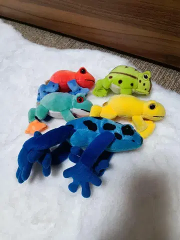 개구리 봉제 인형 세트