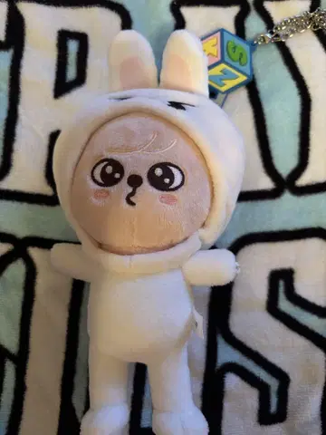 straykids TOY WORLD 승민 백참