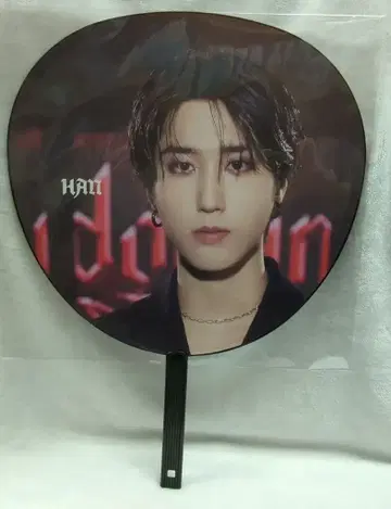 StrayKids 2024 dominATE JAPAN HAN 부채