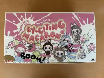 Labubu 라부부 EXCITING MACARON 빈 박스