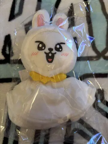 Stray kids 리비트  백참