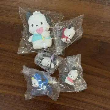 포차코 5세트