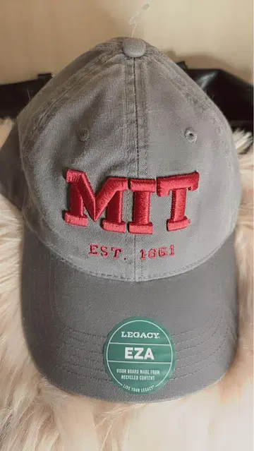 매사추세츠 공과대학교 모자(MIT)