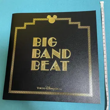 디즈니 빅밴드비트 팜플렛