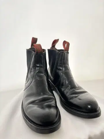 REDWING 8193 사이드 고어 첼시