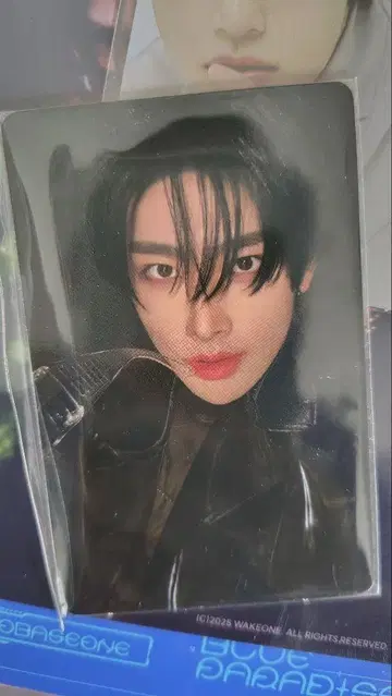 리키 pop up 7만 원 트레이딩 카드 blue paradise zb1