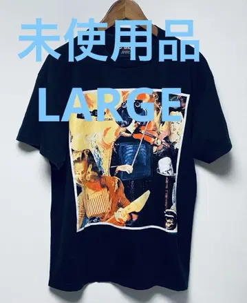 미사용품 GREEN DAY S/S TEE L 사이즈 USA 제작