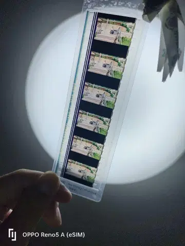 미타카의 숲 지브리 미술관 필름 책갈피 귀를 기울이면
