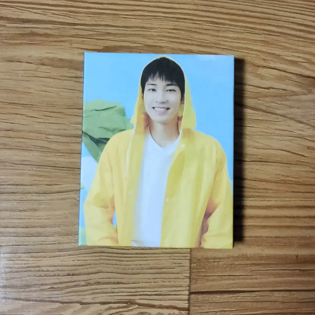 Seventeen Carat Vahn Wonwoo binder