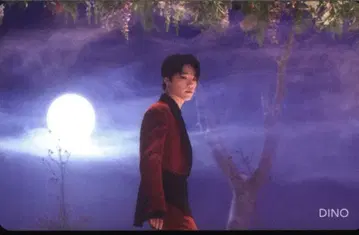 SEVENTEEN HMV DINO  꽃잎 MV