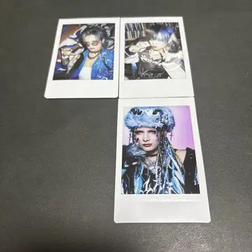 Royz 스바루 폴라로이드 3 세트