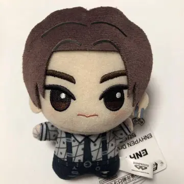 ENHYPEN 정원 SD 인형 봉제 인형 마스코트 남코 새상품