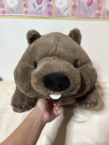 웜뱃 봉제 인형