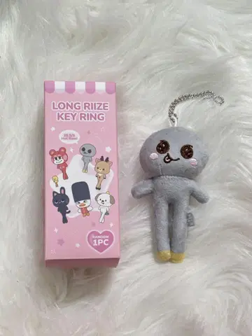 LONG RIZE KEY RING RIIZE 은석 키링