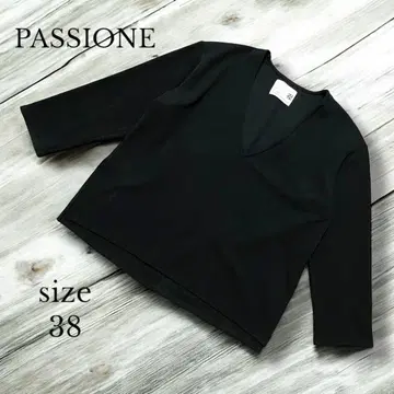 [ PASSIONE ] 파시오네 V넥 풀오버 38 블랙