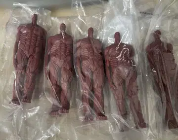 진격의 거인 지면 다지기 피규어 1번 복권
