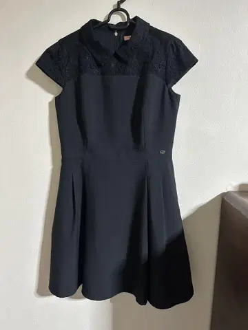레이스 카라 블랙 턱 플레어 드레스