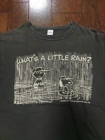 WAREHOUSE PEANUTS 티셔츠 M 흑먹색 블랙 페이드