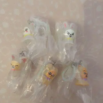 SKZOO 메지루시 액세서리 5개 세트
