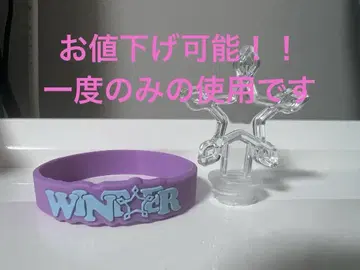 aespa 응원봉 액세서리 엠블럼 윈터 winter