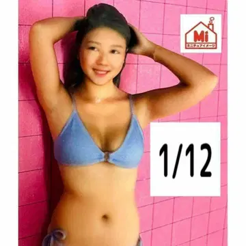 1/12 1174 피규어 완성품 뉴믹 1/64보다 큼 미니카에