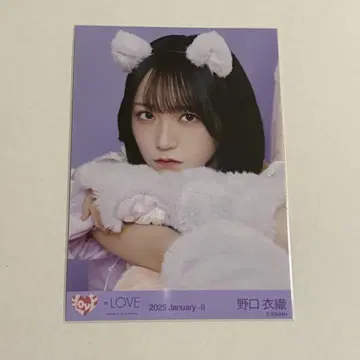 [덤 증정] 이코러브 노구치 이오리 브로마이드 고양이